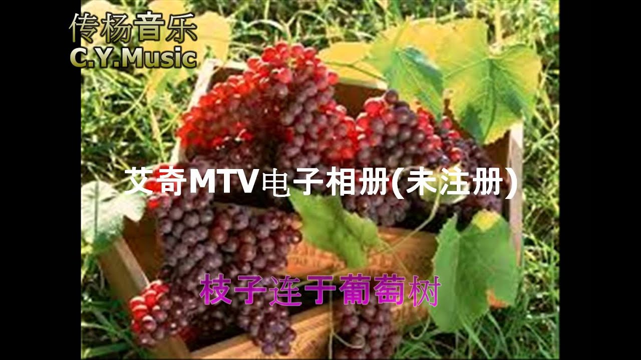 主是葡萄树（HD 字幕正式版）-陆秀凤