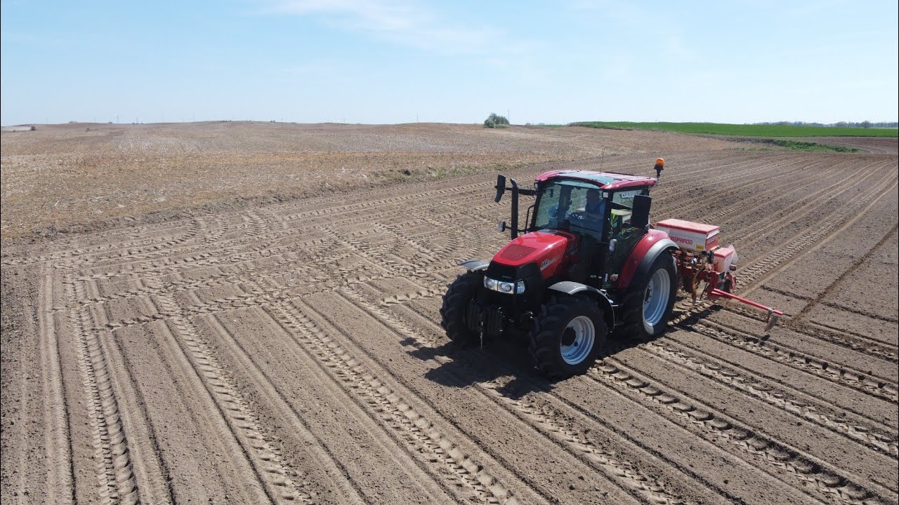 Majowy siew kukurydzy 🌽 2023. Case IH Farmall 110C Gaspardo SP 4 Weidemann T6025