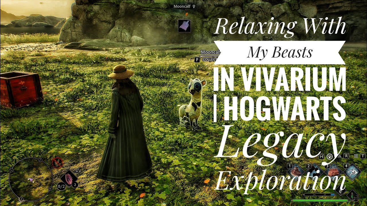 Playing With My Vivarium Pets 🐉  Hogwarts Legacy Magical Creatures Gameplay 2K #gaming #nocommentary