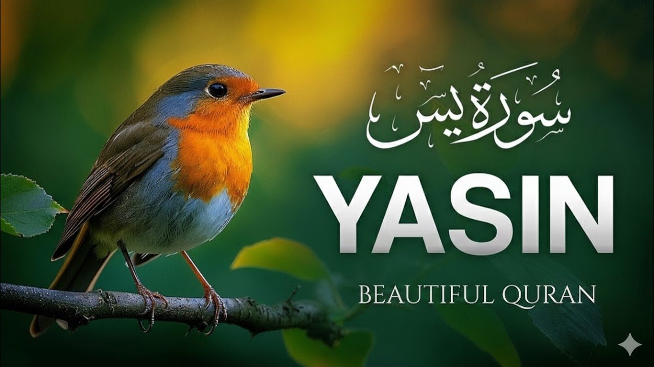 Surah Yaseen (سورة يس) | Calm & Soothing Quran Recitation for Inner Peace #surahyaseen 