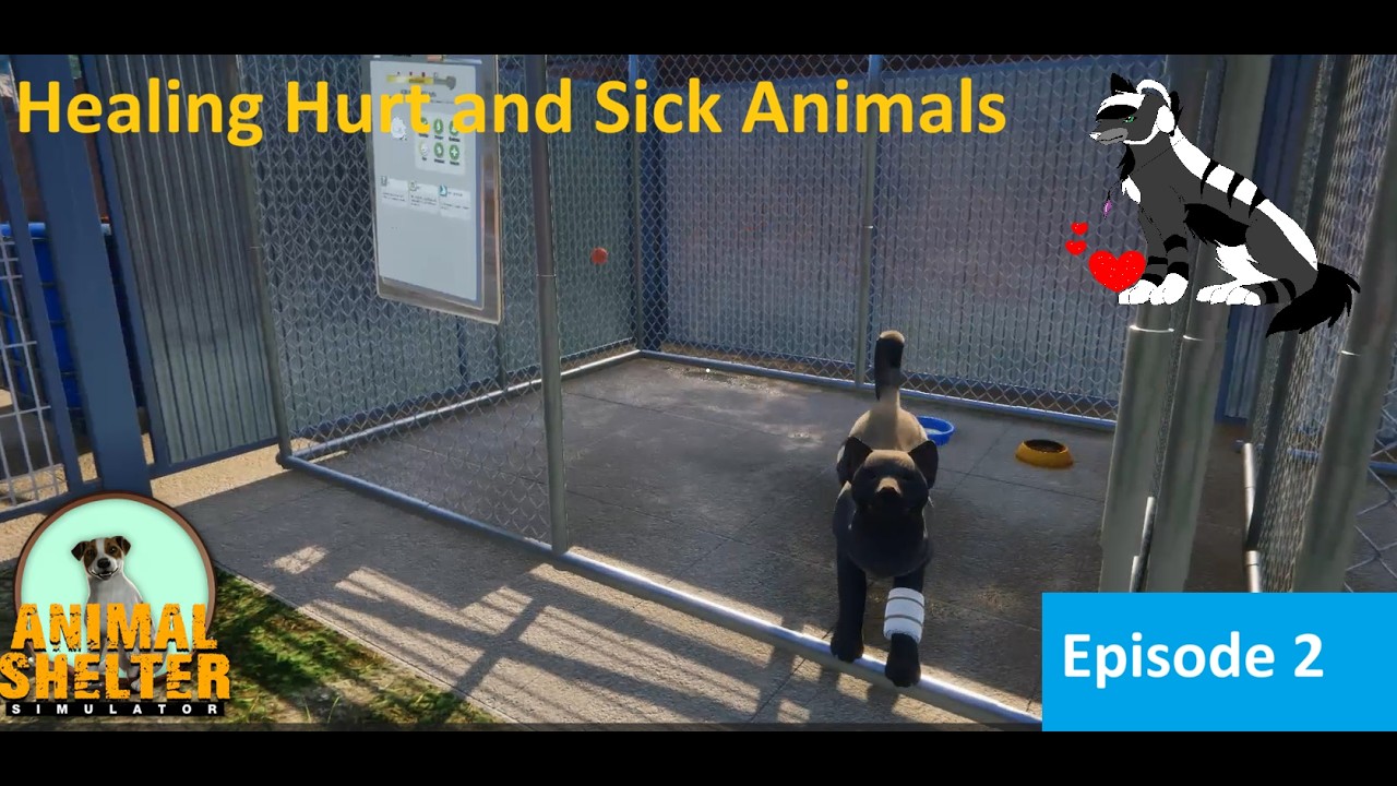 Animal Shelter Episode 2 (No commentary)