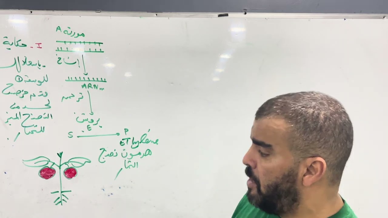 اقوى افكار تمارين تركيب البروتين علوم الطبيعة والحياة بكالوريا