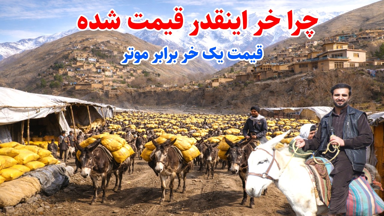 مال بازار بدخشان, قیمت باور نکردنی خر, کمک به فقرا, قصه های بدخشانی,  Badakhshan Afghanistan
