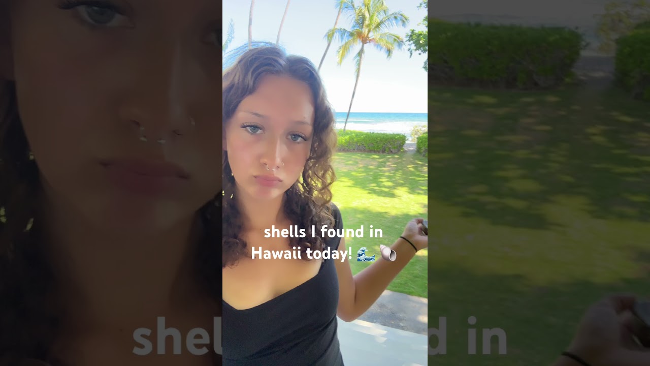 Subscribe 🐚❤️ #shells #beach #seashell #collection #hawaii