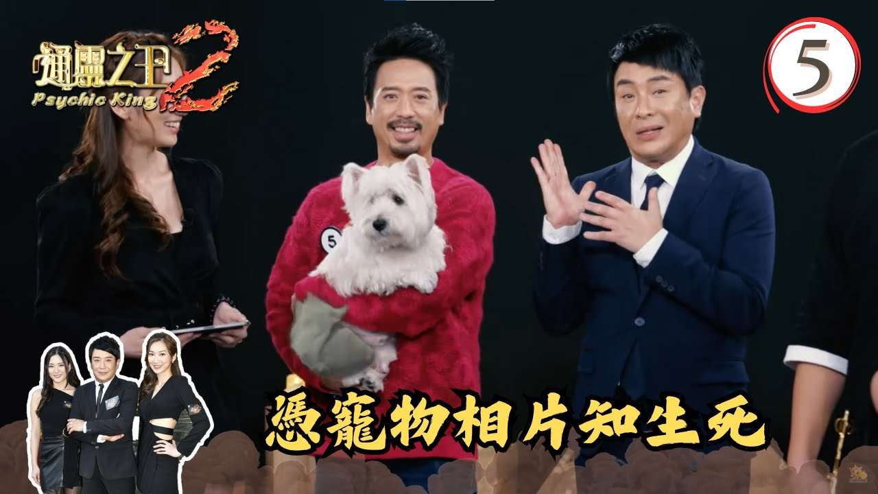 憑寵物相片知生死(II)、黑盒信物六選二 | 通靈之王2 #05 | 梁思浩、王嘉慧、陳懿德 | 粵語中字 | TVB 2023