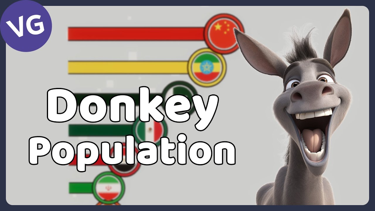 The Countries with the Most Donkeys in the World