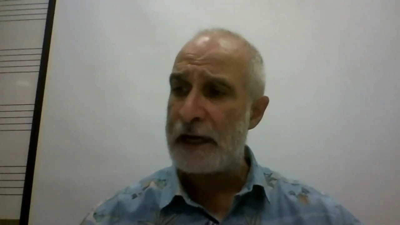 ההרצאה של פרופ' מיכאל וולפה על אלתרמן
