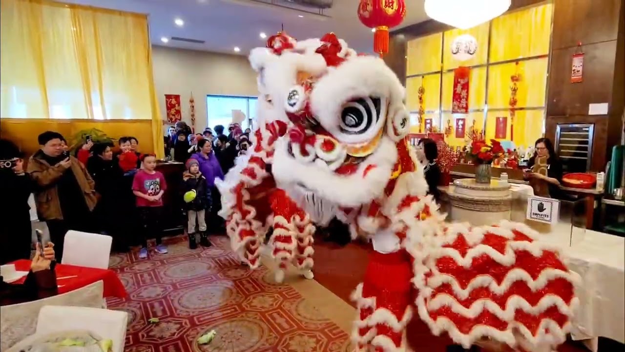 南岸金豐酒樓醒獅賀新歲 2026