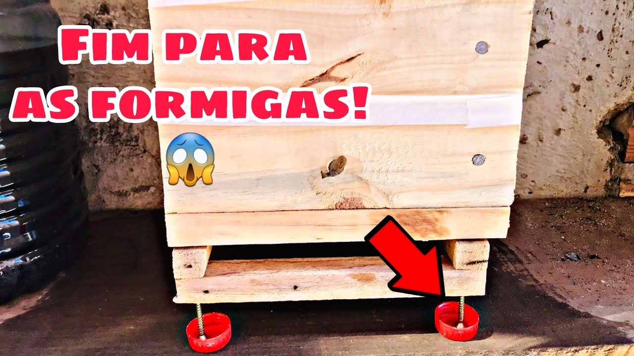 SALVE SUAS ABELHAS SEM FERR&Atilde;O DAS FORMIGAS(Suporte anti formigas todo Passo a passo)