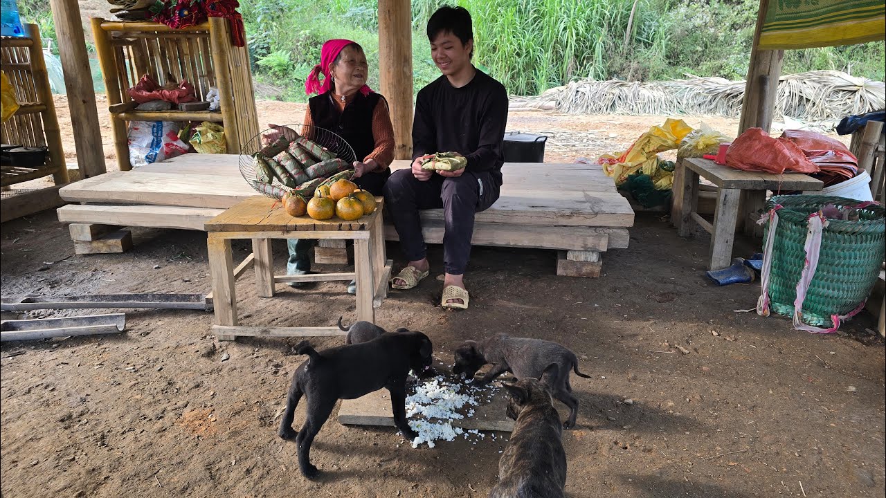 The short film captur the simple daily life of Thanh and the old woman; Thanh picks oranges to sell