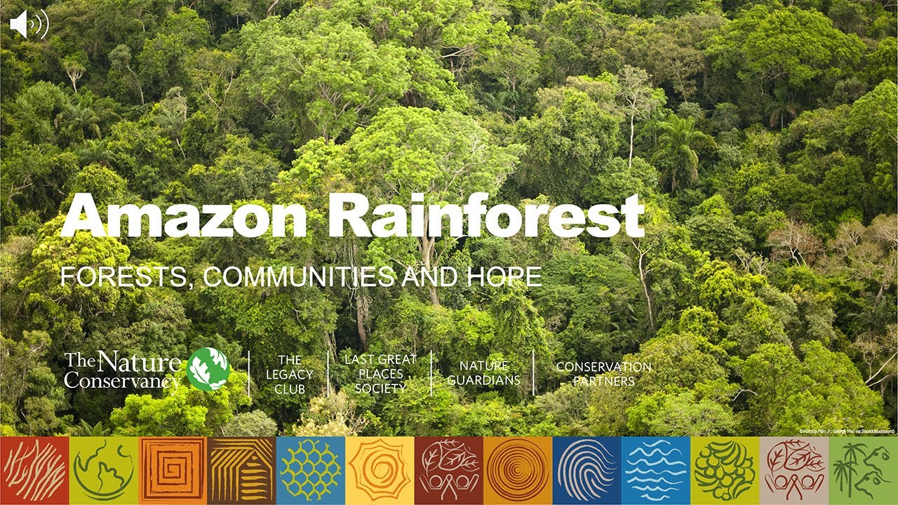 Forests, Communities and Hope: Amazon Rainforest
