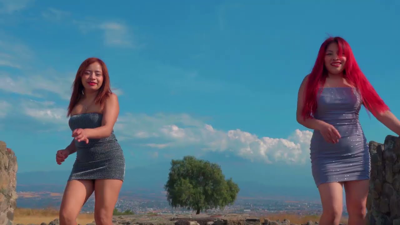 El Venadito-Dinastía Marin (Video Oficial)