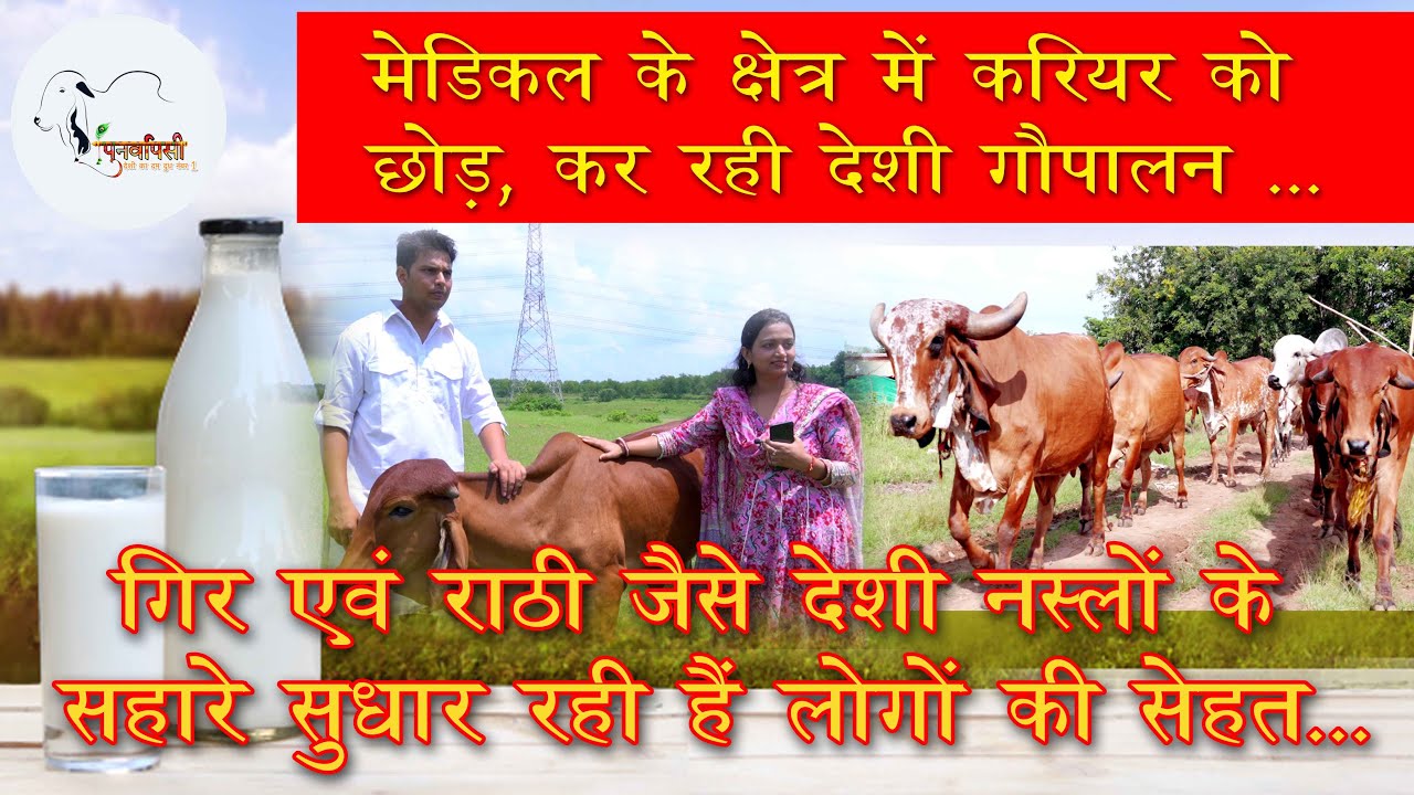 Gir Cow |Best Gir Cow Farm in Jharkhand & Bihar| Gir Cow Farm in Gujarat #gir #cow #video