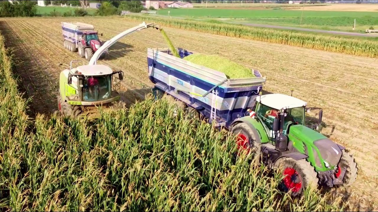 Trinciato mais biogas | Chopping & packing corn silage - Claas Jaguar 990, Fendt 930, McCormick x8