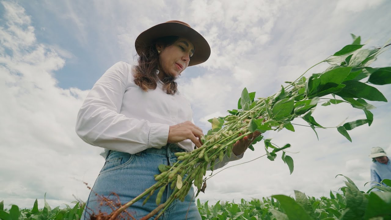 How Conservation Agriculture is Transforming Brazil