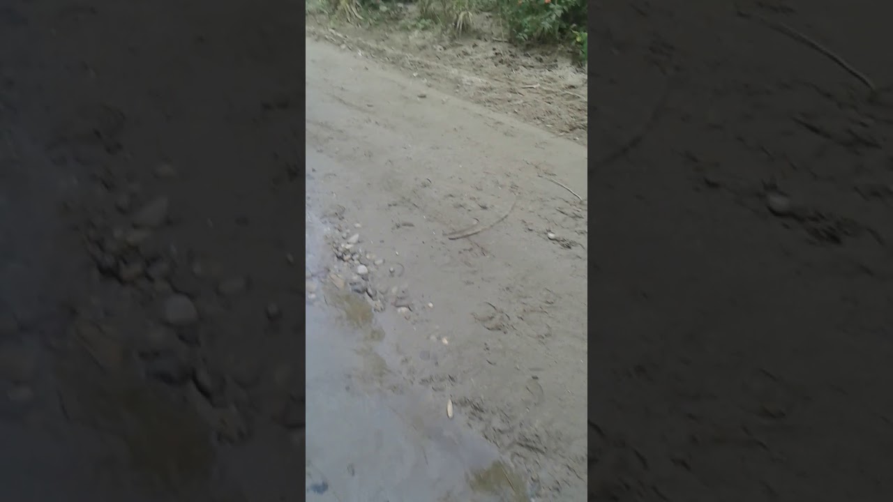 Panchkula to dehrian village kukanet hoshiarpur