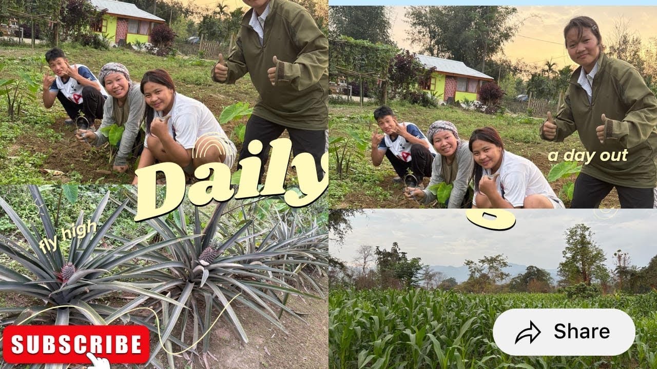 Weaving or garden ko balance rakna hai tabhi paisa save aur organic khane milte hai🥰