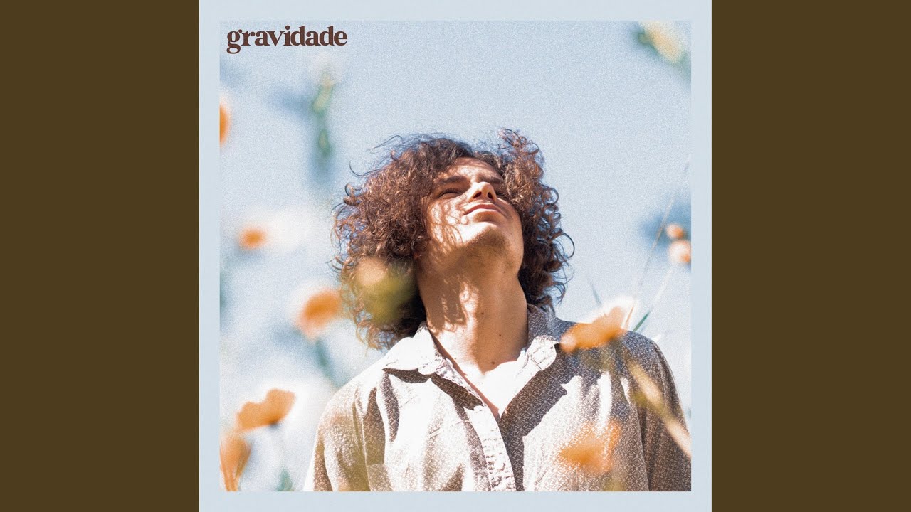 Gravidade