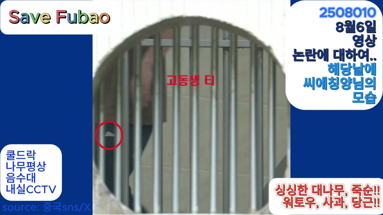 쉬상님 논란에 대하여!! 크로스 체크!!