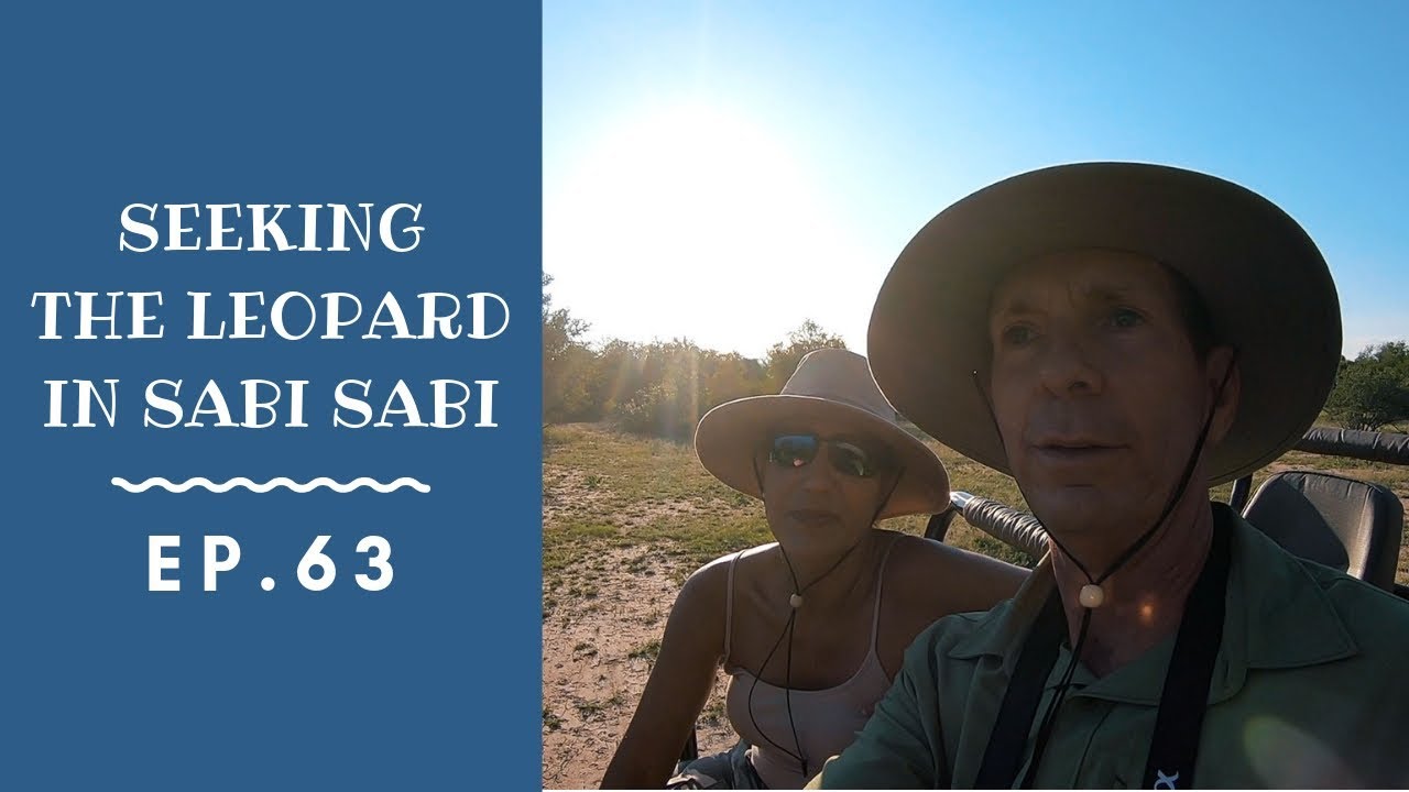 Ep. 63 Seeking the Leopard in Sabi Sabi,  Leopard 50