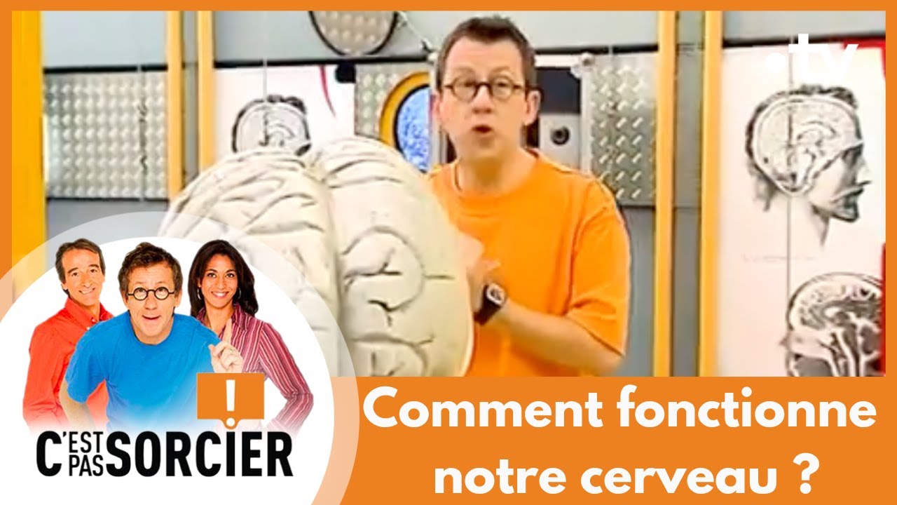 Comment fonctionne notre cerveau ? - C'est pas sorcier