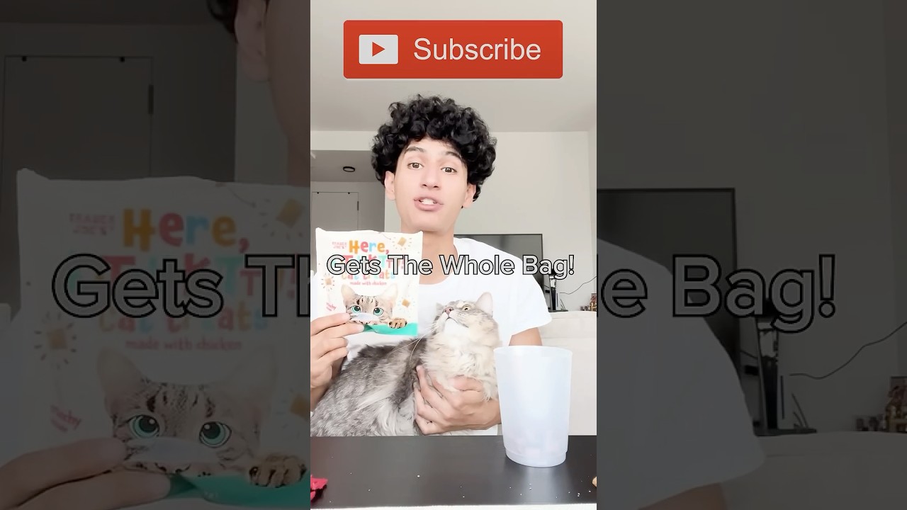 СДЕЛАЙТЕ МОЕГО КОТА СЧАСТЛИВЫМ!