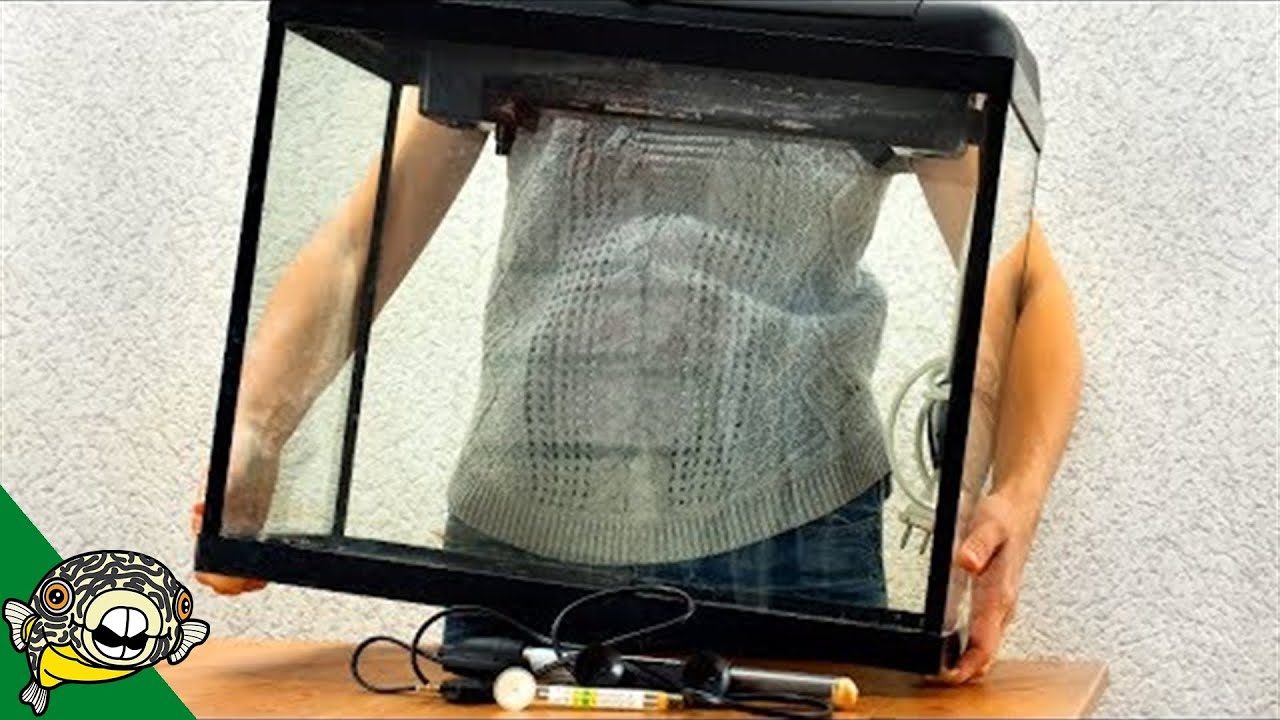 Watch this BEFORE you setup your next Fish Tank!