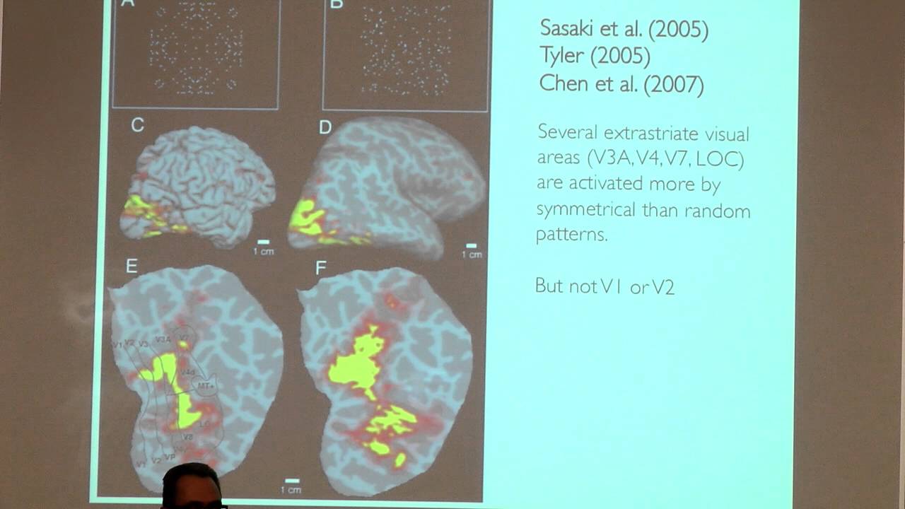 Marco Bertamini - Brain Activity in Response to Visual Symmetry