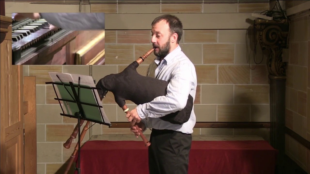 L'ARREL I LES BRANQUES