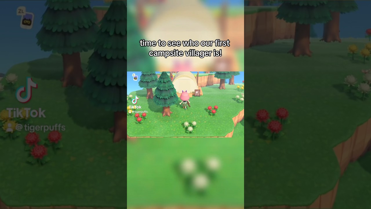 Первый житель кемпинга на моём вечном острове! 🥲 #animalcrossing #shorts