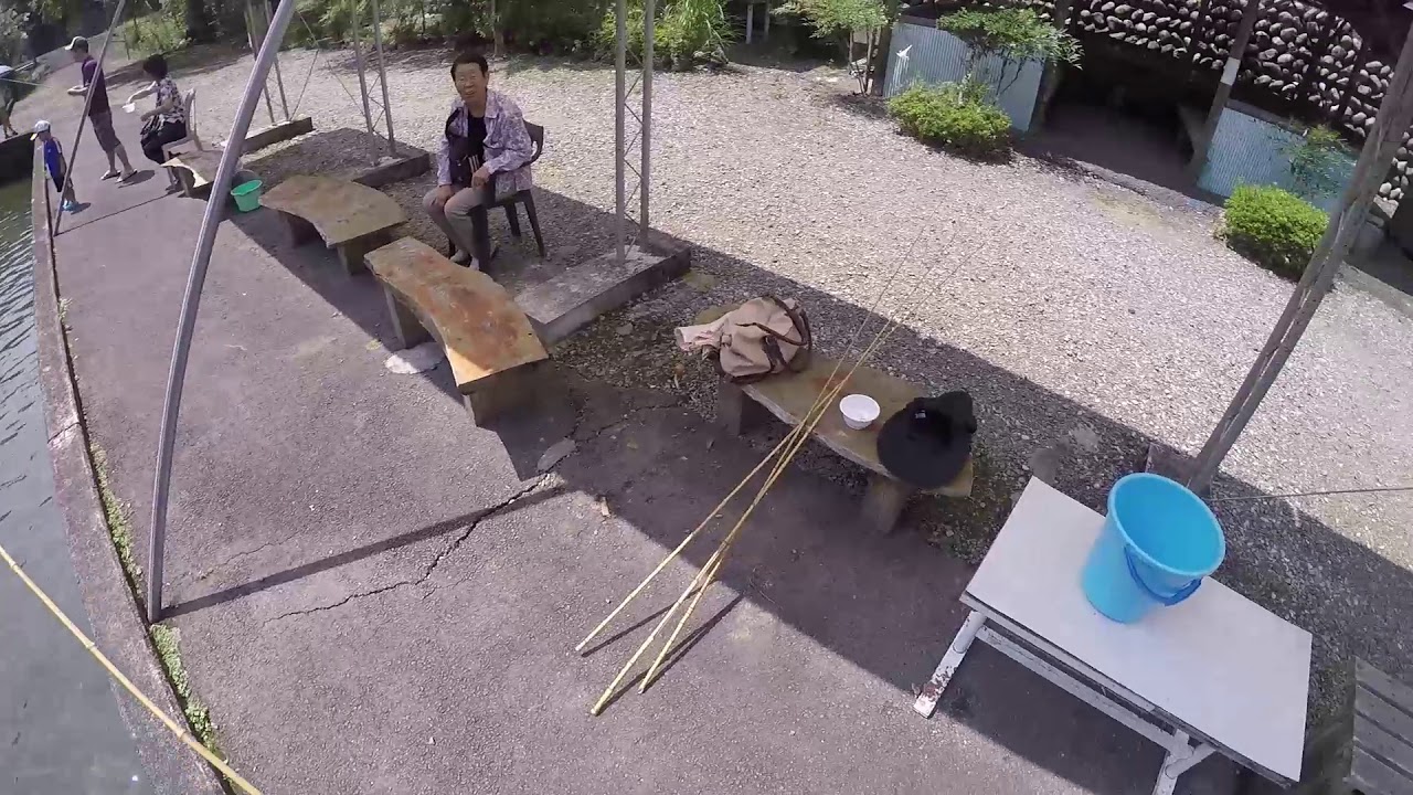 【マス釣り堀り】竿４本で1000円！マスが釣り放題の穴場に行った結果！ 4K映像 4K放送 新元号 令和になっても頑張ります