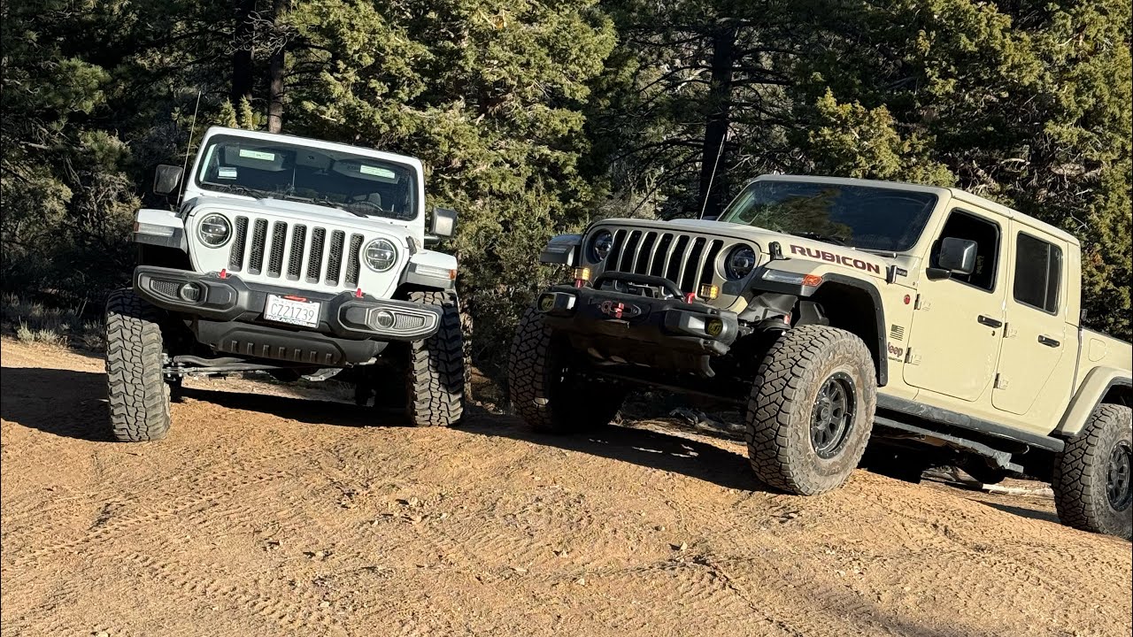 Rubicons Vs John Bull! (Big Bear CA)