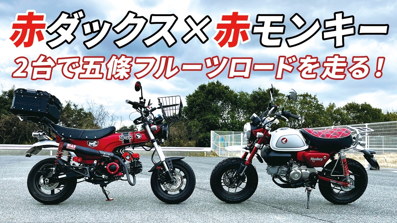 モンキー125納車ツーリング！赤ダックスと赤モンキーで五條フルーツロードを走ります。慣らしには良いツーリングとなりました。