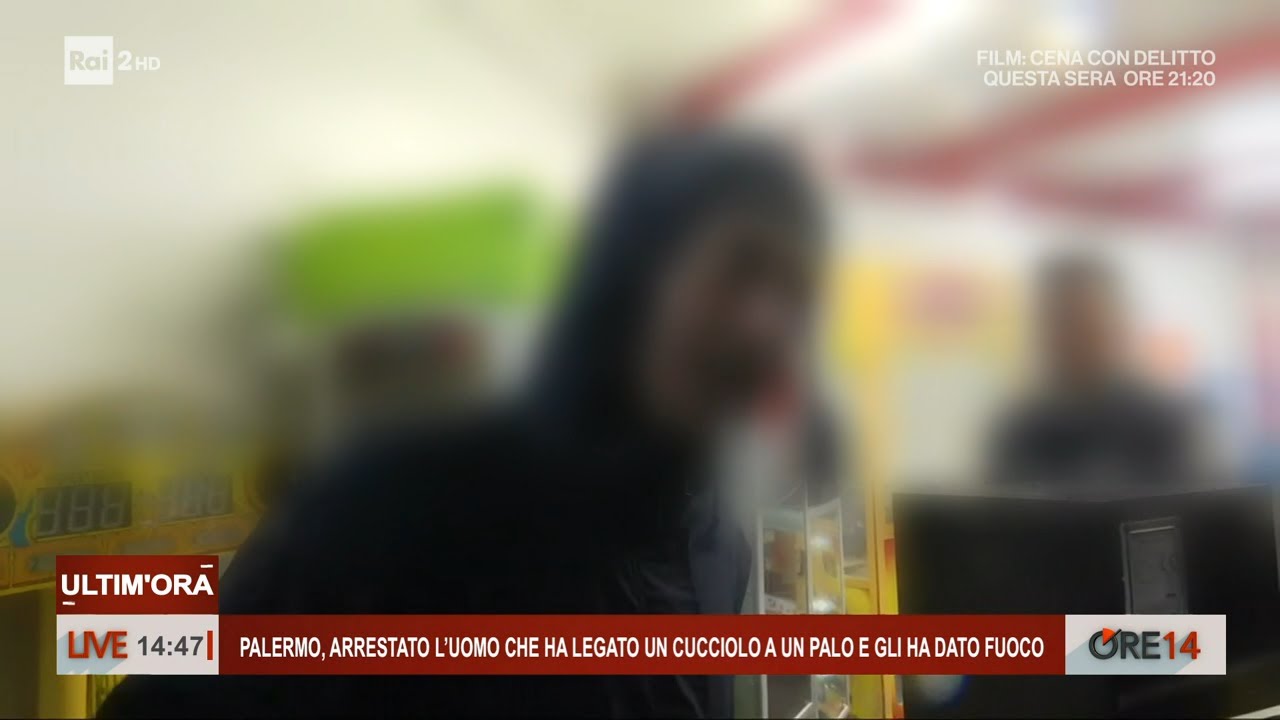 Parla l'uomo che ha legato un cucciolo a un palo e gli ha dato fuoco - Ore 14 del 11/01/2024