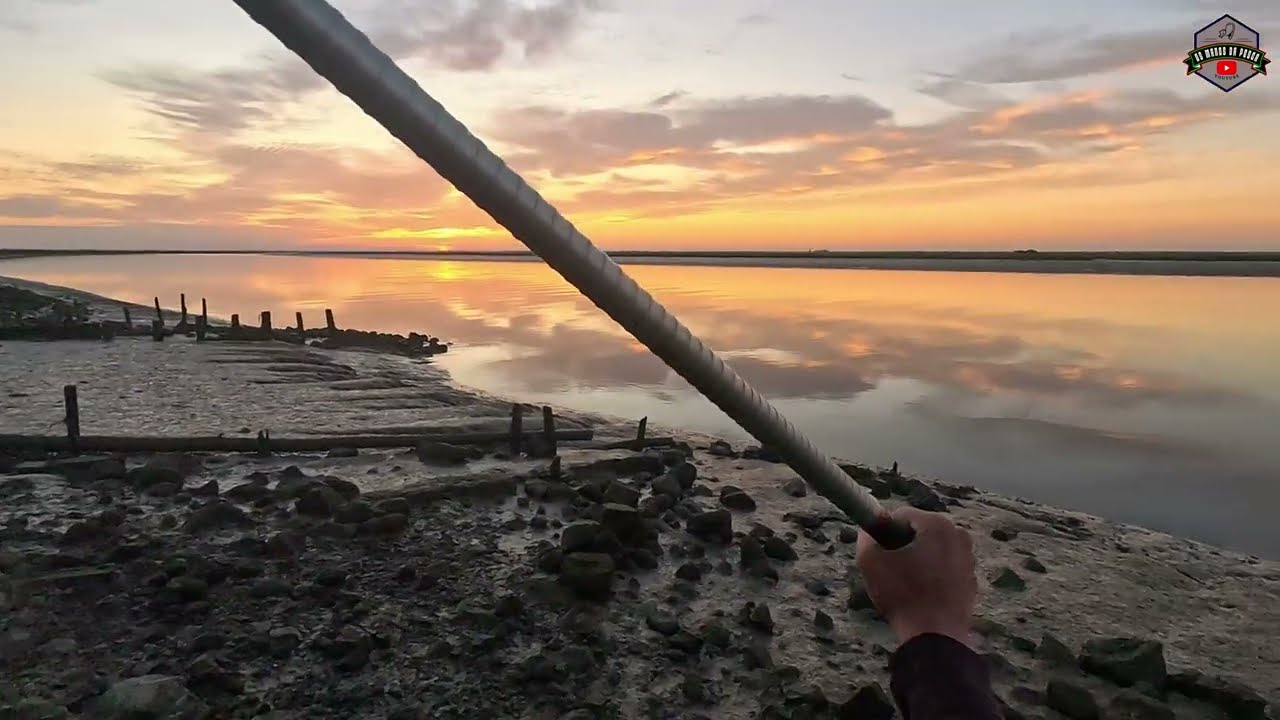 Incrível Pesca de Corvinas no Tejo – Recorde Pessoal!