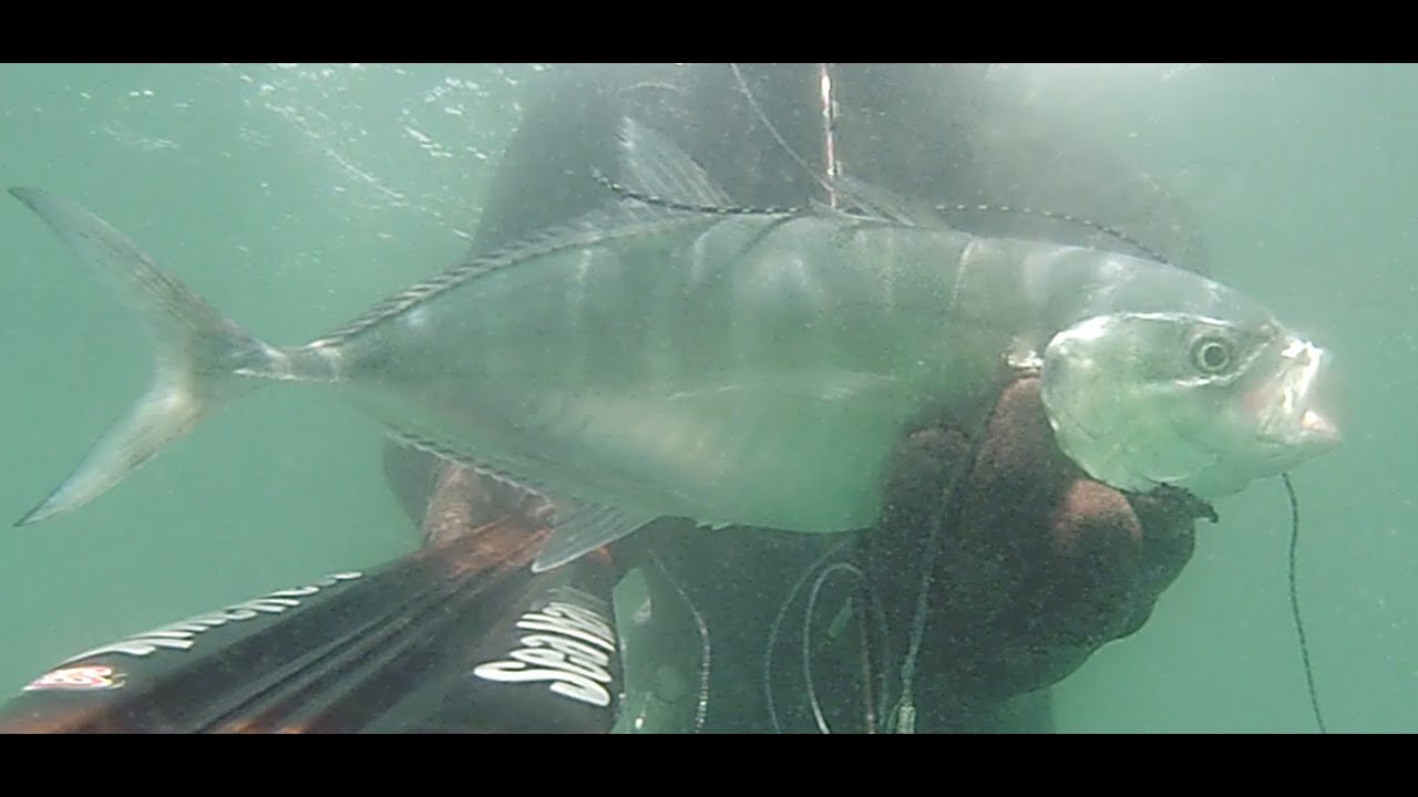 Pescasub: Cristallo e nebbia! Tecniche miste con SeaHawk extreme 90!