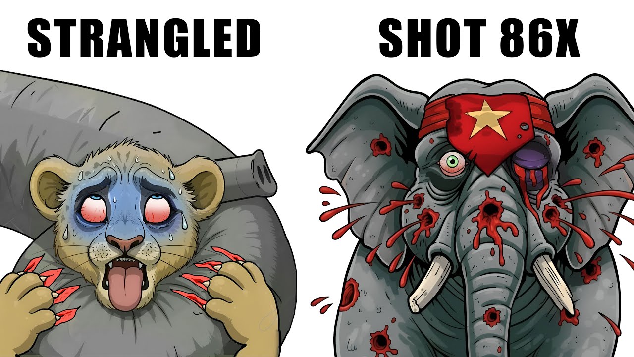 The Worst Circus Animal Deaths Ever
