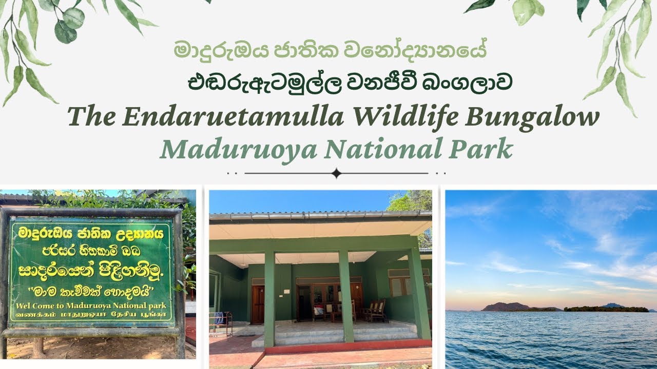 Endaruetamulla Wildlife Bungalow in Maduruoya National Park | එඬරුඇටමුල්ල වනජීවී බංගලාව