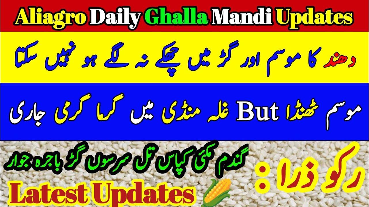 Til Sarson Makki Gandum Rates | Daily Ghalla Mandi Rates | Commodity Prices |#@aliagro1972