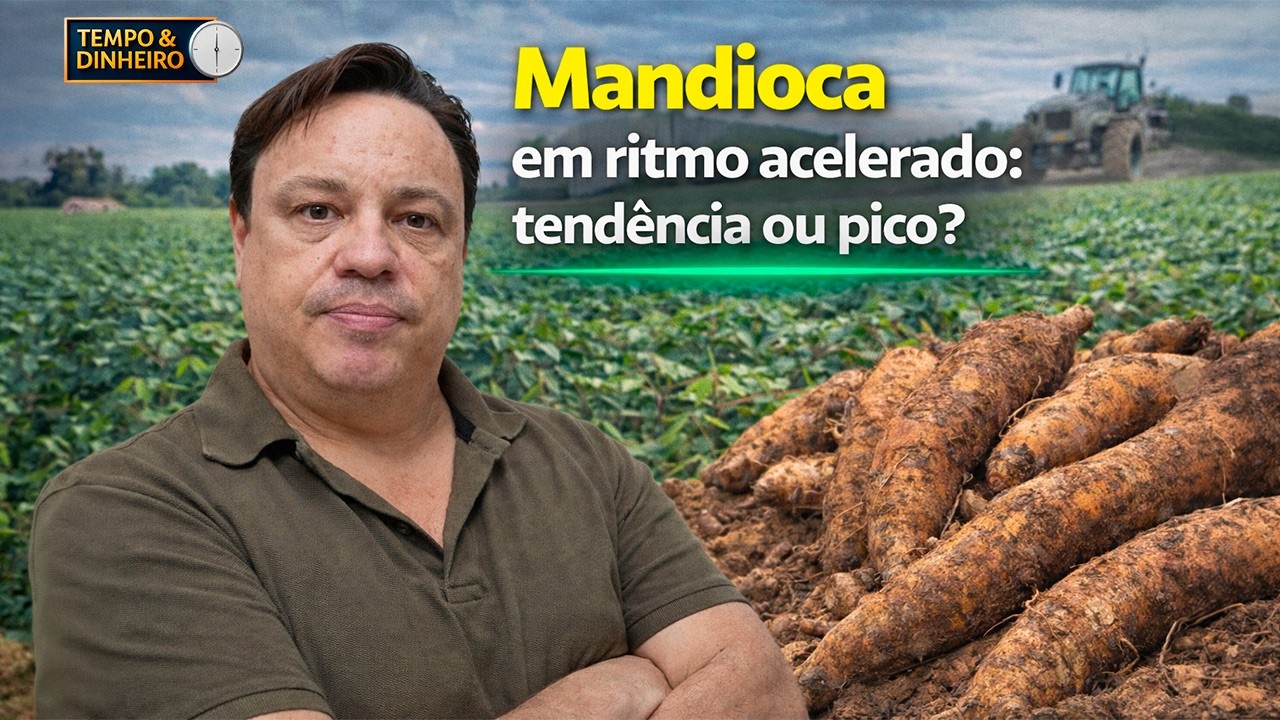 Mandioca: mercado de raiz tem 5ª alta semanal, comenta Fabio Isaías Felipe, do CEPEA