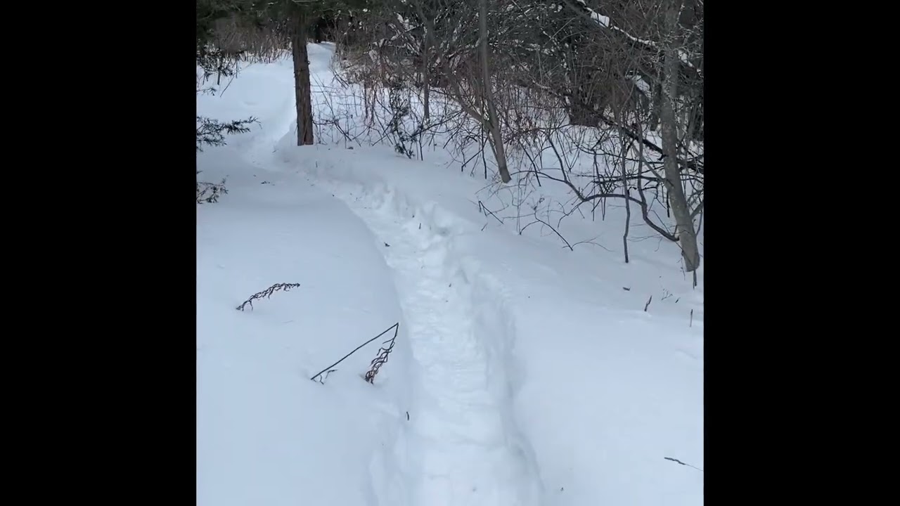 Walking a snowy trail 