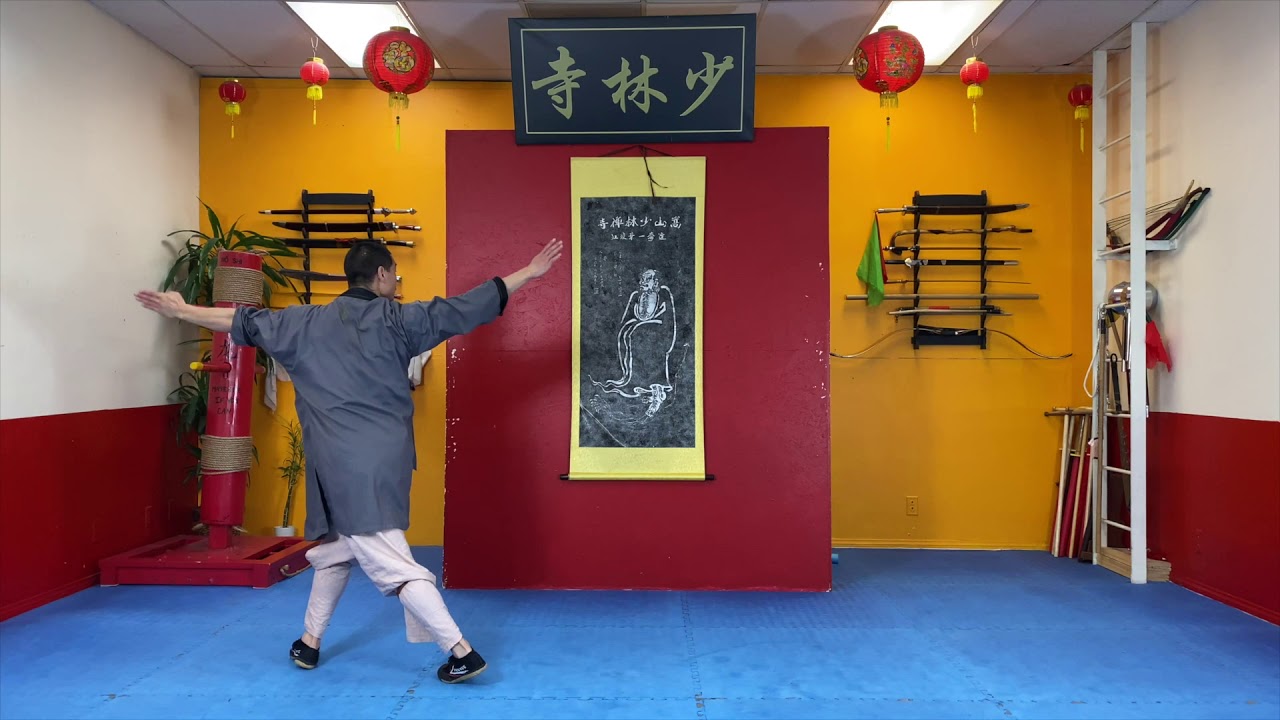 Basic movements & Kicks   Purple Belt