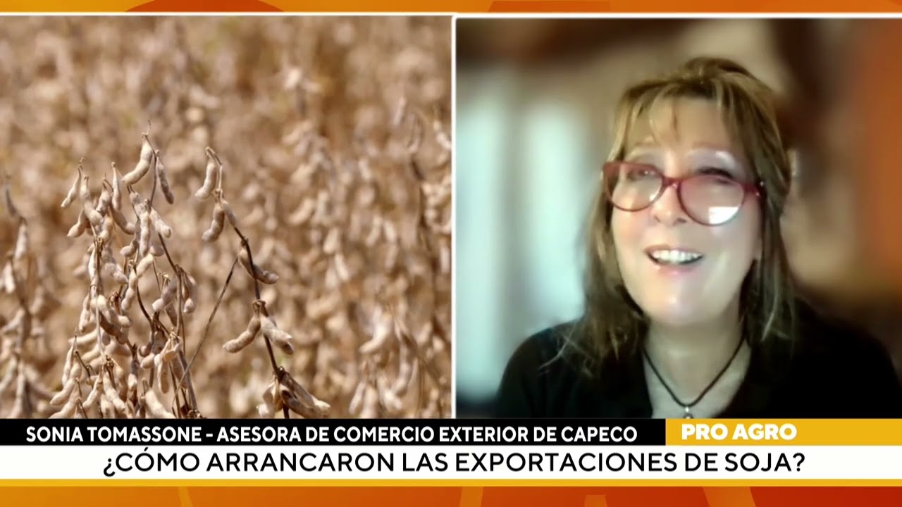 ¿Cómo arrancaron las exportaciones de soja?