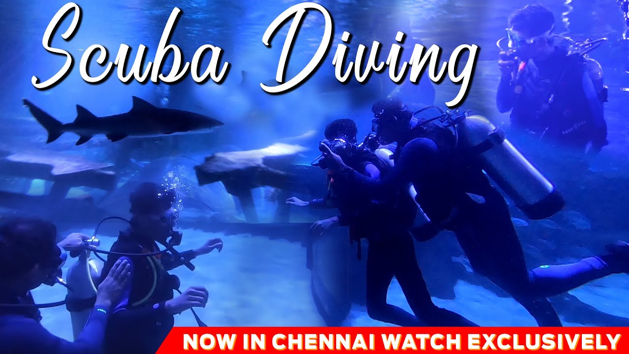 சென்னையில் ஸ்கூபா டைவிங் | Scuba diving in chennai | Under Ocean Travel