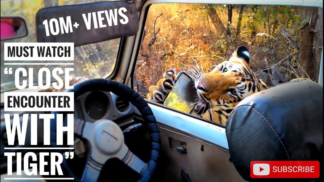 Must watch 