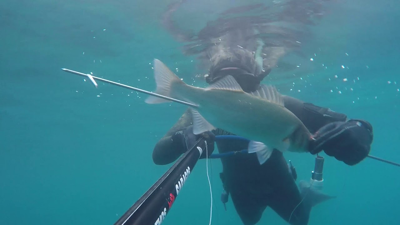 PESCA SUB SESTRI LEVANTE