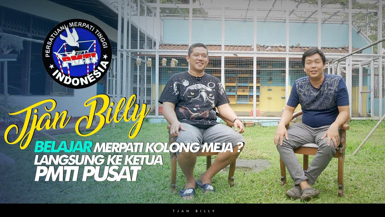 GREBEK KANDANG MERPATI MUTIARA TEAM PURWOKERTO | BELAJAR AGAR JADI PRO PLAYER KOLONG MEJA