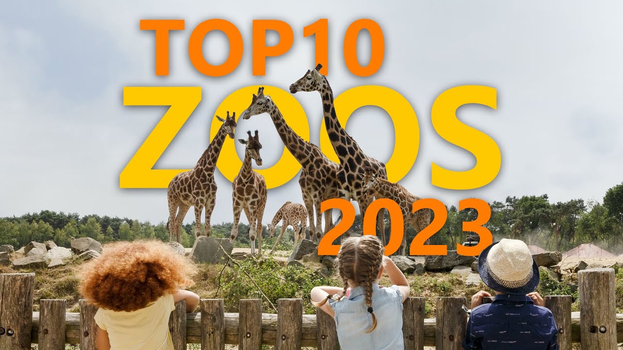 Die Top10 besten Zoos 2023!