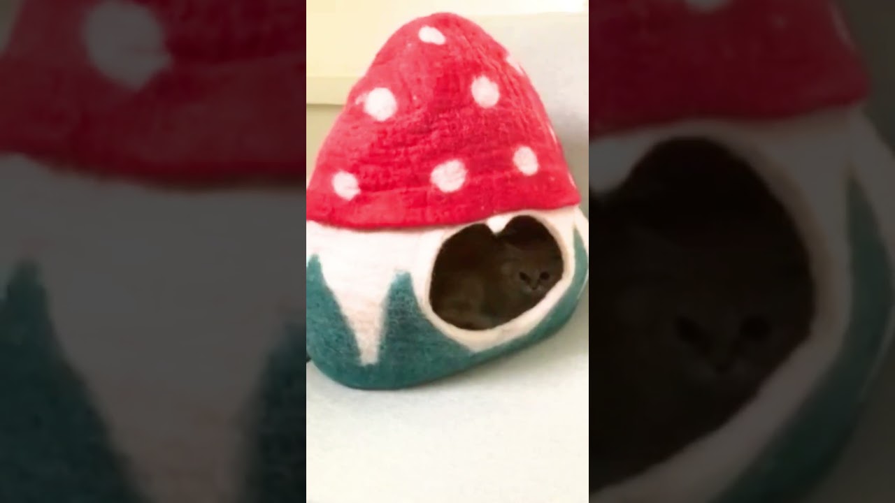 Handmade Wool Felt Cat Cave: Mountain Explorer Design