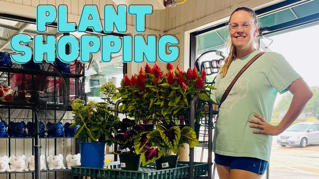 Calloways & Bruce Miller Plant Nursery Tour || Plant Shopping With Me || Tour of Garden Center